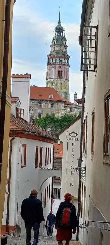 Penzion Albatros Český Krumlov Exterior foto